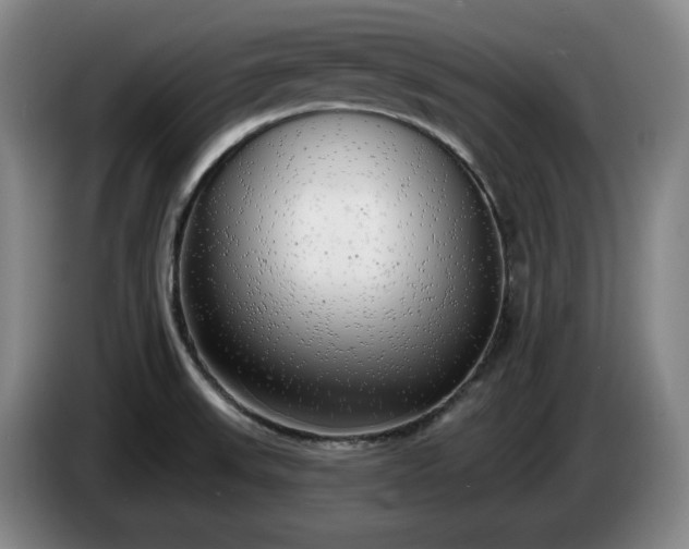 X0000085001523200703121449