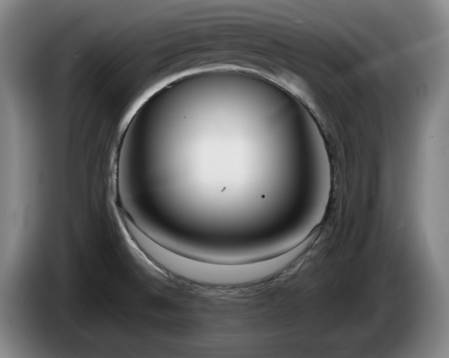 X0000085001524200703121449