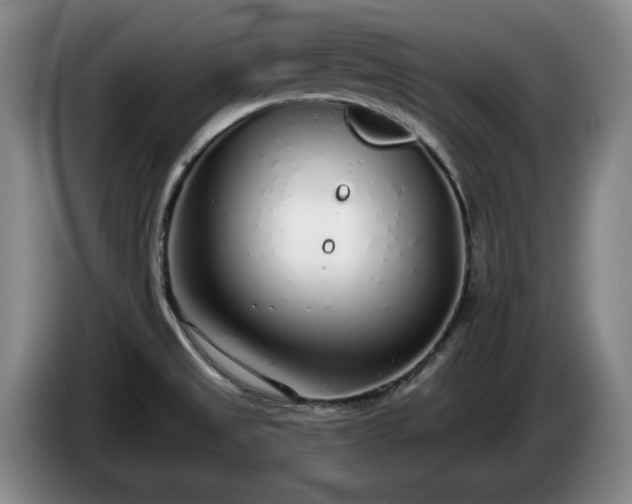 X0000085001525200703121449