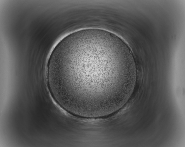 X0000085001527200703121449