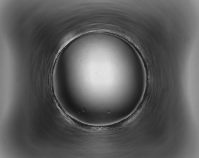 X0000085001529200703121449