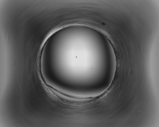 X0000085001530200703121449