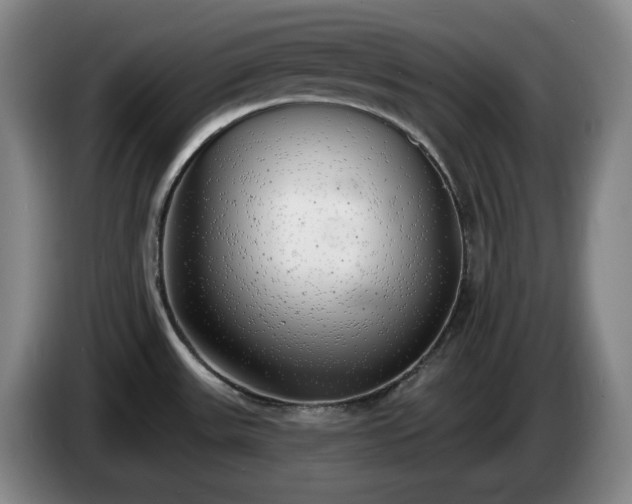 X0000085001531200703121449