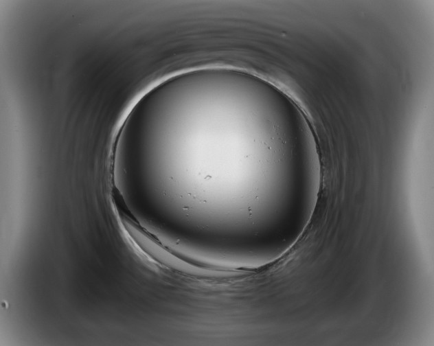 X0000085001532200703121449