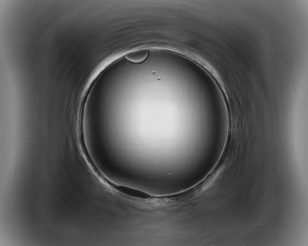 X0000085001533200703121449