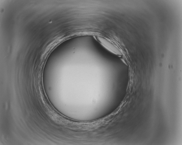 X0000085000001200703191102