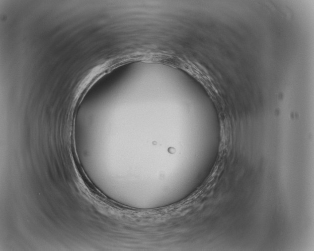 X0000085000003200703191102