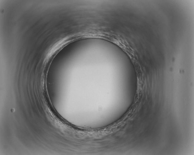 X0000085000005200703191102