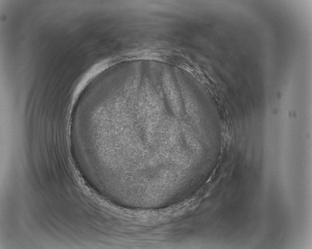 X0000085000006200703191102