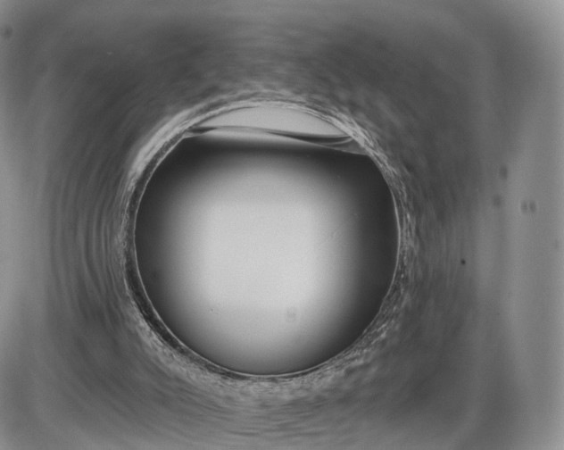 X0000085000007200703191102