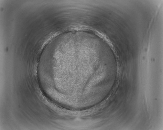 X0000085000010200703191101