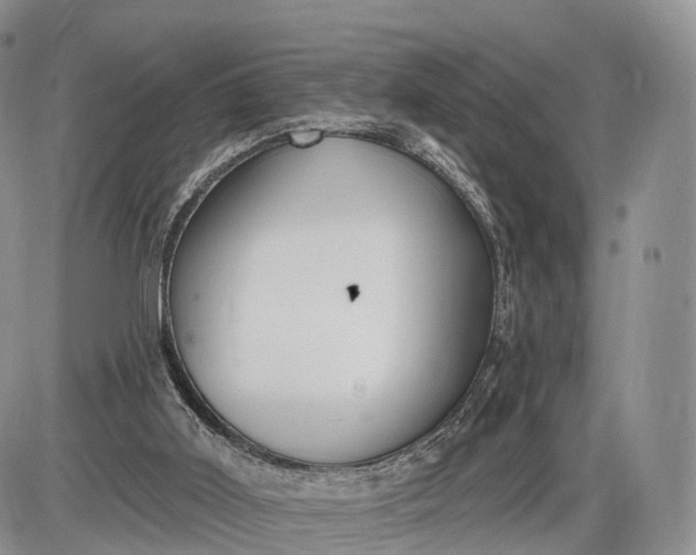 X0000085000011200703191101