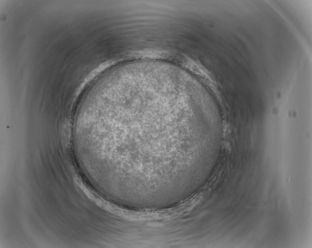 X0000085000012200703191101