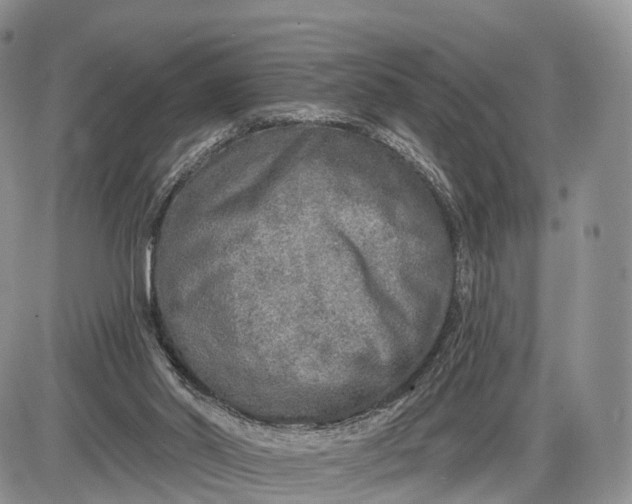 X0000085000014200703191101