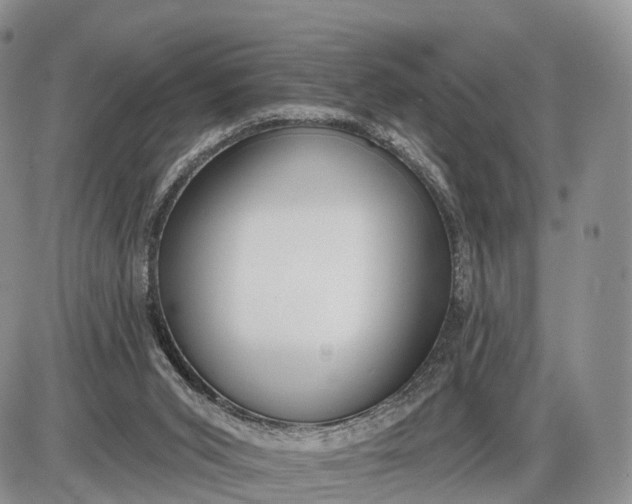 X0000085000015200703191101