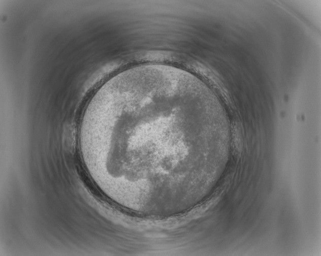 X0000085000016200703191101