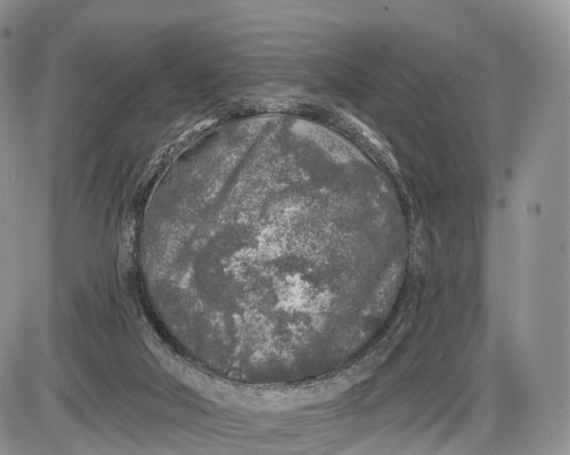 X0000085000018200703191101