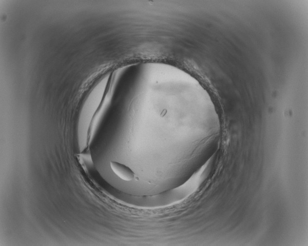 X0000085000019200703191101