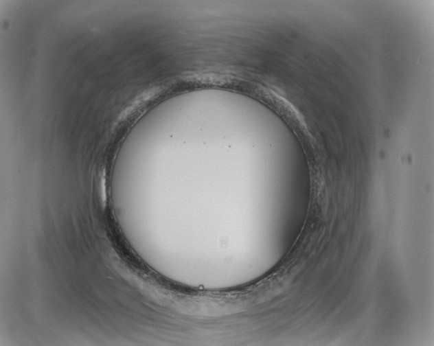 X0000085000020200703191101