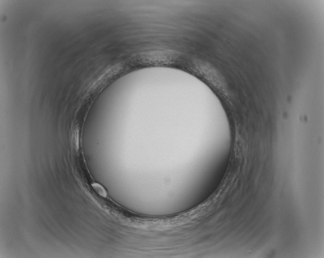 X0000085000021200703191101