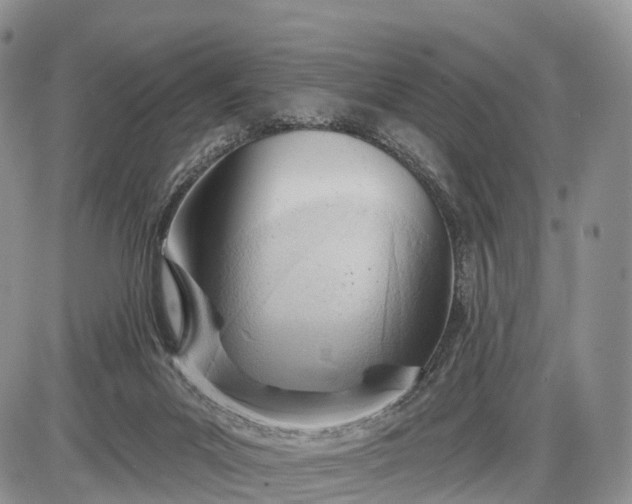 X0000085000023200703191101