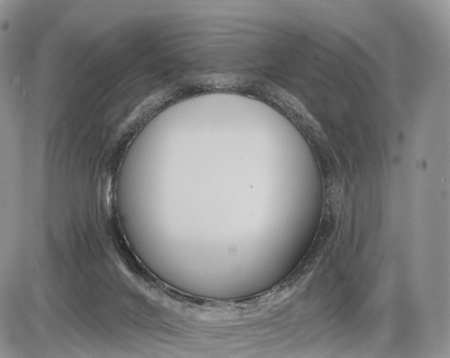 X0000085000024200703191101