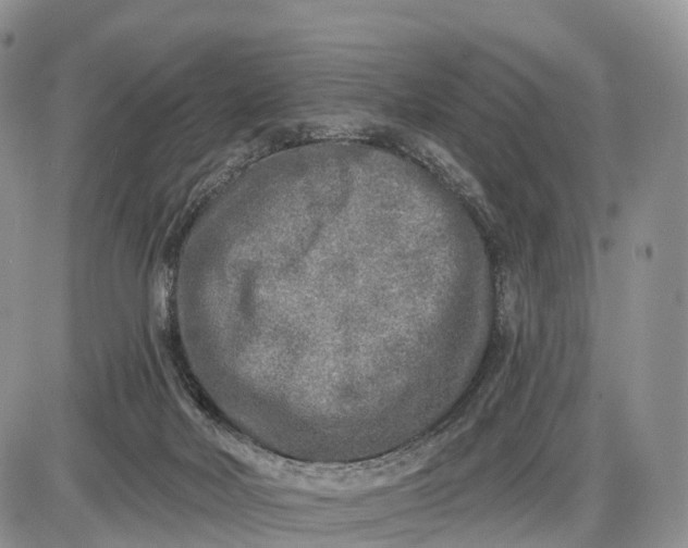 X0000085000026200703191101