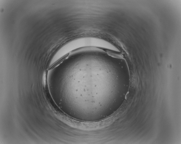 X0000085000027200703191101