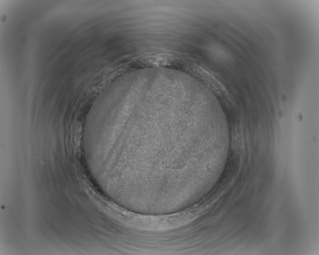 X0000085000030200703191101