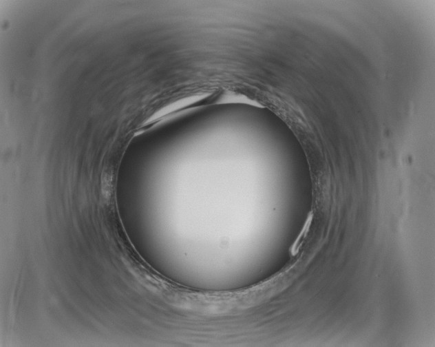 X0000085000033200703191101