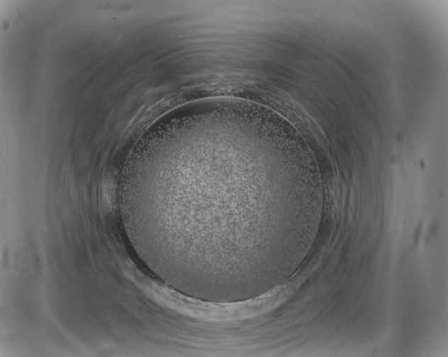 X0000085000035200703191101