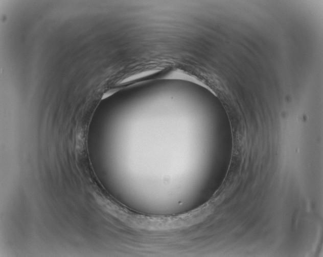 X0000085000037200703191101