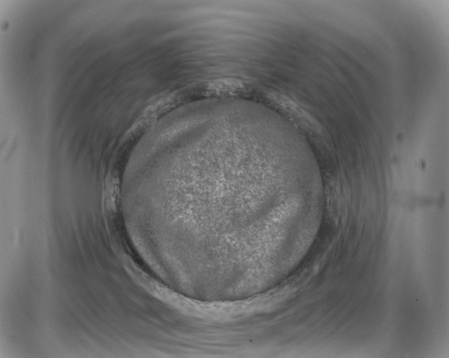 X0000085000038200703191101