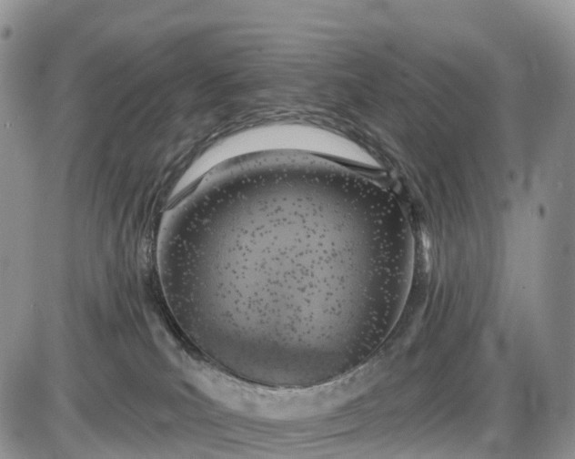 X0000085000039200703191101