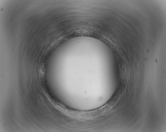 X0000085000040200703191101