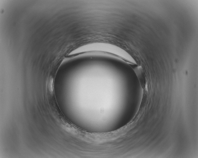 X0000085000041200703191101