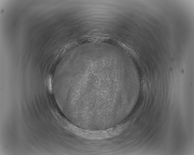 X0000085000042200703191101