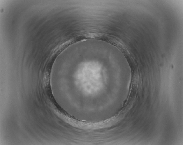 X0000085000043200703191101