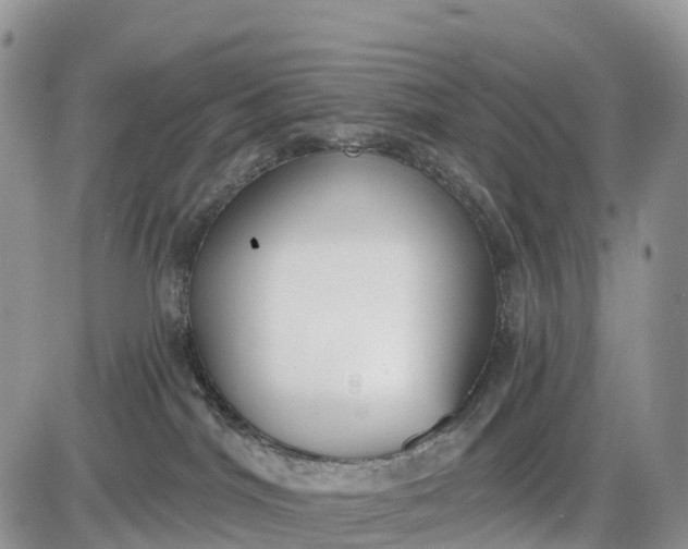 X0000085000044200703191101