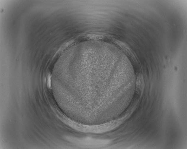 X0000085000046200703191101