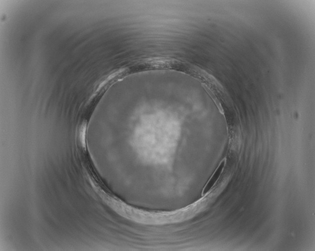 X0000085000047200703191101