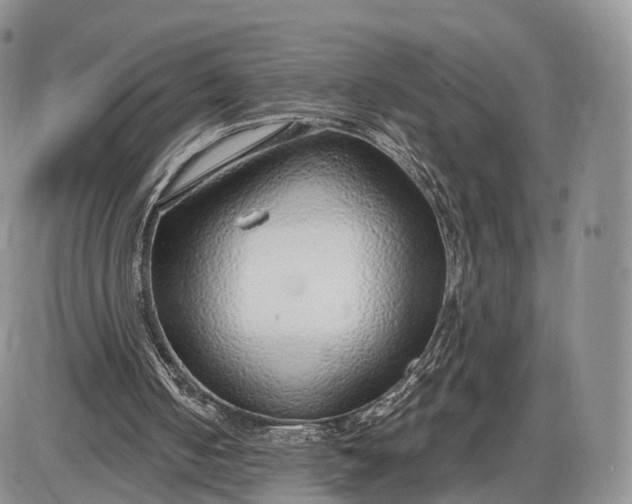 X0000085000050200703191100