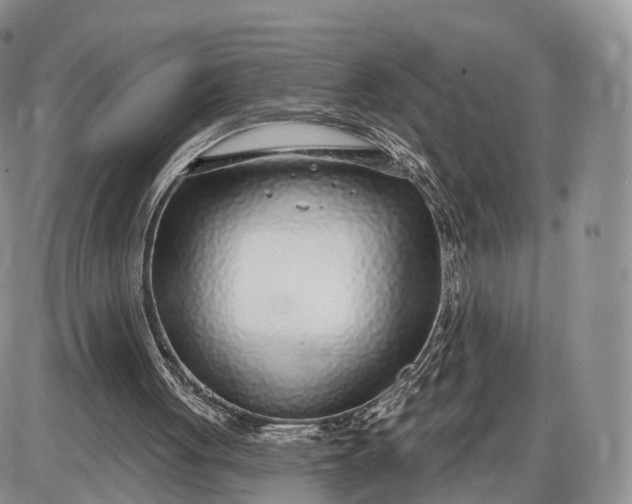 X0000085000051200703191100