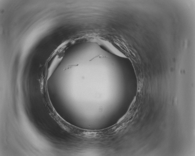 X0000085000052200703191100