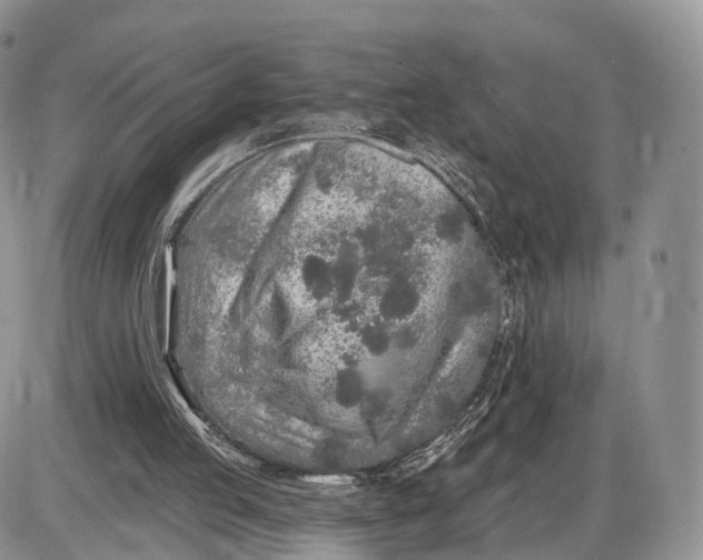 X0000085000053200703191100