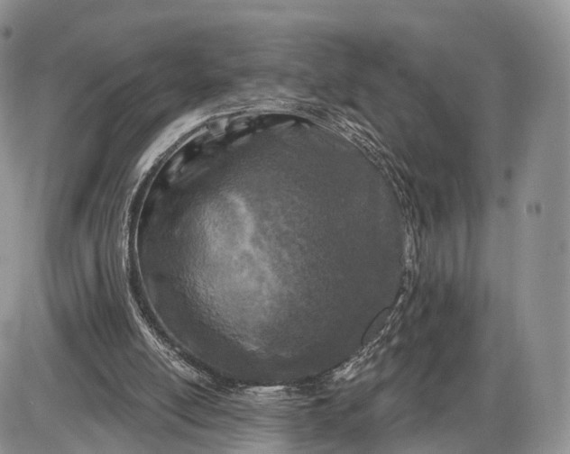 X0000085000054200703191100