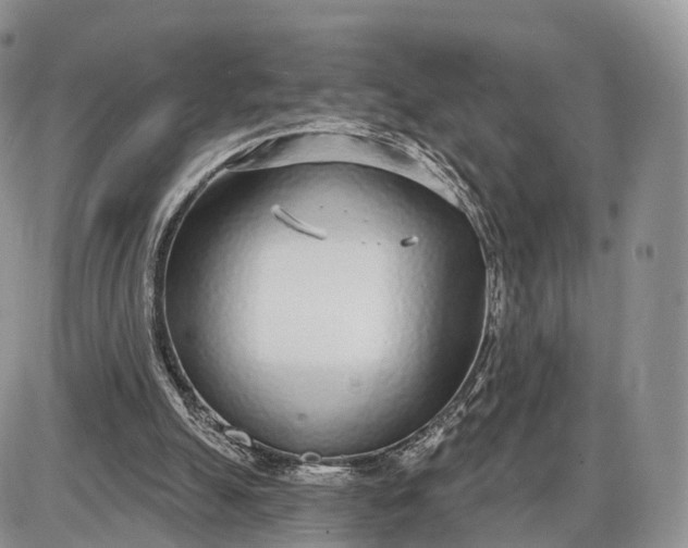 X0000085000055200703191100