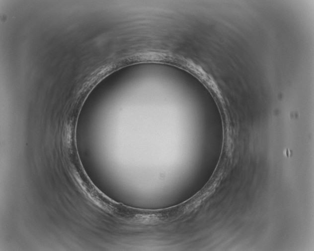 X0000085000057200703191100