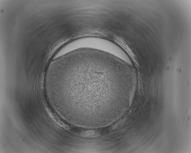 X0000085000058200703191100