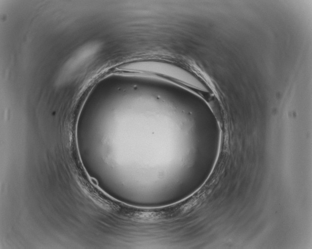 X0000085000059200703191100